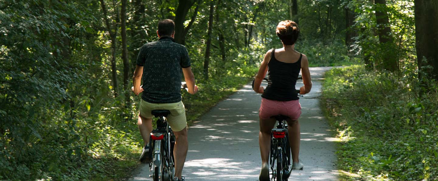 Header algemeen 2